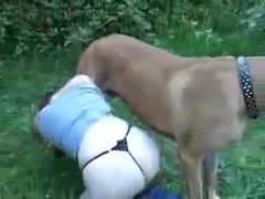 Having sex in the green park with a dog